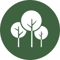 EcoTree